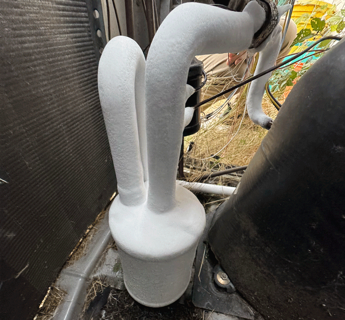 Tacoma Plumbing Inspection