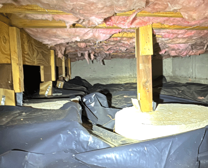 Tacoma Crawlspace Inspection