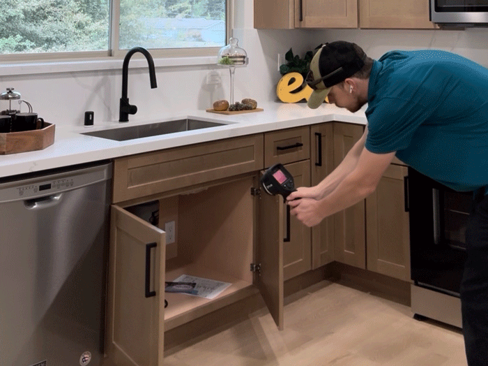 Tacoma Thermal Undersink Inspection